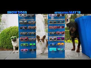 Show Dogs – Justice – Now Playing!