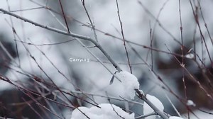 Présentation des Duffel bag Transporter Osprey Packs Tous nos sacs ici https://lc.cx/GJ2a | Alpinstore