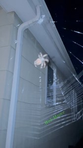 Web Master #spiderman #spiderweb #oneloveoneearth #webspinner #bitofsun #bluemarble | Sonja Anderson