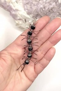 Copper Centipede Sculpture - Etsy Australia