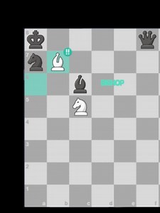 Total Mental Destruction After an Insane Tactical Robbery! ❌💀 A classic lesson in why overconfidence leads to a ruthless punishment on the board. Black tries frantically to save their queen, completely blinding themselves to an invisible geometric mating net. Watch an absolute masterclass in tactical calculation that completely demolishes Black's defense instantly! #chess #blunder #karma #puzzle #tactics #brainpower