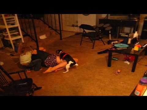 Dog Humps Girl