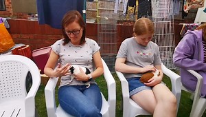 7.3K views · 2.2K reactions | Cavy Corner on Reels | Facebook