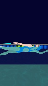 88K views · 1.6K reactions | Break down the backstroke with these 5 technique tips! Test these strategies in your next personalized workout, right inside the MySwimPro app. Click here to develop your stroke today ➡️ https://bit.ly/47Ko0gy | MySwimPro | Facebook