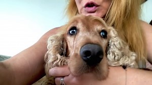 26 reactions · 10 comments | I’ve been looking after gorgeous Benji...