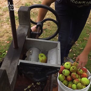 17K views · 473 reactions | Making HOMEMADE Apple Cider! EASY DIY!!  | Anne of All Trades | Facebook