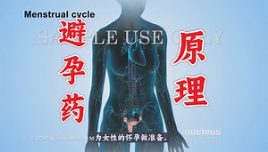 避孕药的原理【3D展示】