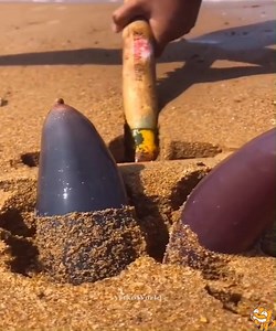 20K views · 210 reactions | Asian Ninja Fish Catching Insane Skills 呂戀 | DIY Modern Creative | Facebook