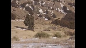 9.4K views · 69 reactions | Rookie mistake | Stoney Wolf Outdoors | Facebook