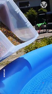 108K views · 78 reactions | Explosive orbeez pool experiment | Handy Panda | Facebook