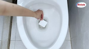 60 Strips Toilet Quick Foaming Cleaner Sheets