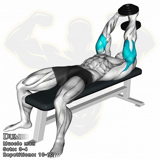 arms workout | Muscle man