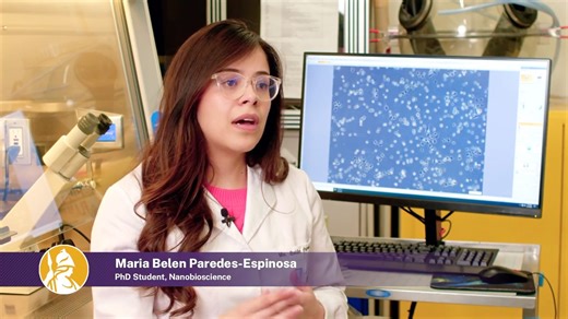 Doctoral student Maria Paredes-Espinosa has been given the opportunity to study miniature hearts, a passion project of hers. The miniature hearts will be used to transform modern drug testing. | University at Albany