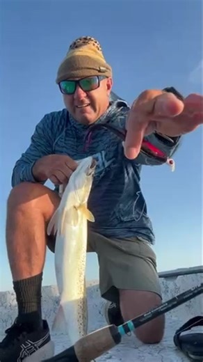 C.A.L. 5.5” jerk bait DOALures.com #speckeledtrout #doalures #inshorefishing | DOA Lures