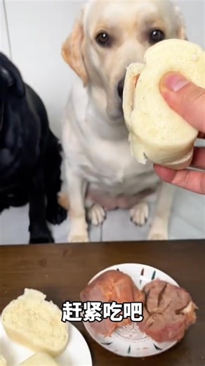 Is it divisive 😂 | Aussie Four Wheelers