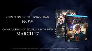 34K views · 18 reactions | Warner Bros. Pictures on Reels | Facebook