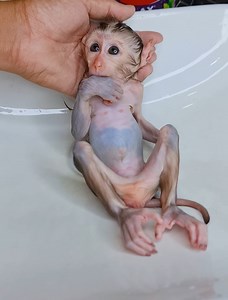 Poor baby Luna Bathing before drink milk💕🍼 | LuLu Family