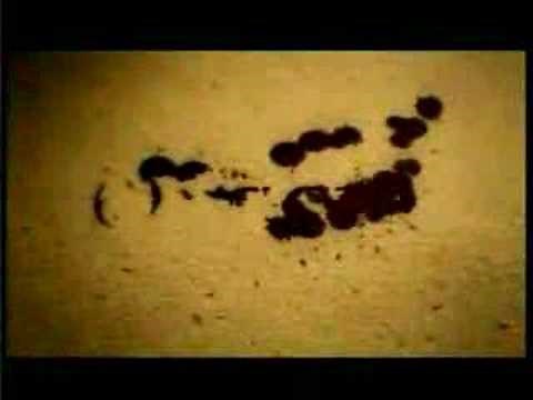 dark oracle introduction