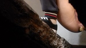 China Toilet Toilet Poop