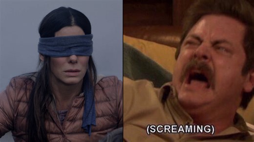 Netflix's 'Bird Box' has already inspired some amazing memes