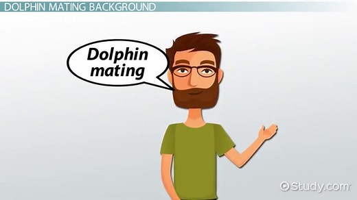 Dolphin Mating & Reproduction | Overview & Facts
