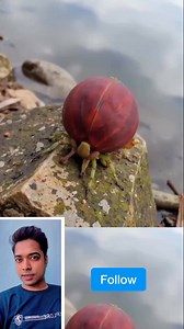 #reels #viral #trending #home #girl #facts #technolgy #fact #knowledge | Suraj Prakash