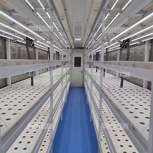 [Hot Item] China Portable Cheap Hydroponic Shipping Container Farm Storage Shipping Container Greenhouse for Garden