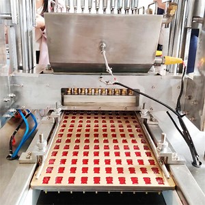 [Hot Item] Factory Price Soft Jelly Vitamin Gummy Bear Toffee Candy Making Machine