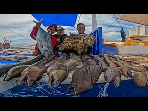 Découvrez les secrets des fonds marins 🐠