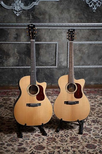 CORT GOLD-A6 BOCOTE NAT