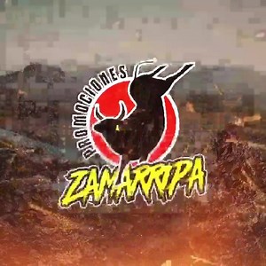 1.2K views · 36 reactions | Plaza de Toros Malloy on Reels | Facebook