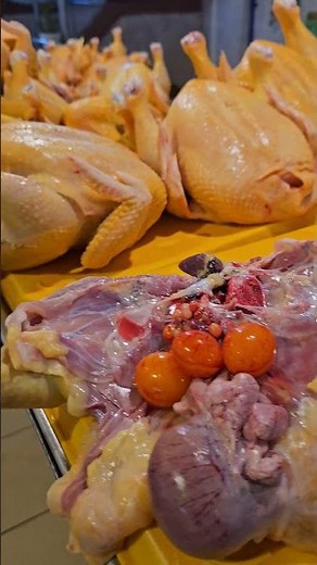 Exploring Cuenca’s Wet Market: Journey Through Ecuador’s Freshest Meat & Local Goods