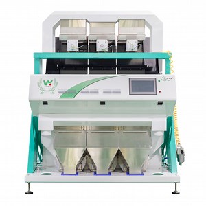 [Hot Item] CCD Peanut in Shell Color Sorting Machine Sorter