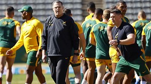 Wallabies have Springboks coach Rassie Erasmus' full attention after Lions Tests