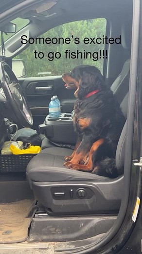 We took the kids up North to our bush camp in Dubreuilville Ontario 🇨🇦 to do some walleye fishing! We’re lucky to have such a beautiful spot where we can completely unhook from the rest of the world. It didn’t matter that there was no cellphone data, or the weather didn’t cooperate fully, or that the fish weren’t biting much, or that the mosquitoes outnumbered us 400000 to 1. We shared so many laughs and memories and we can’t wait for another opportunity to take off again! #northernontario #fi