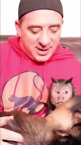 Monkey Couple exchange Christmas Gifts #monkeys #capuchin #christmas | MonkeyBoo