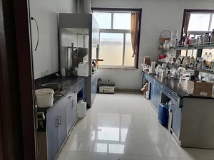 [Hot Item] Acrylic Emulsion for Water-Based Metallic Paint