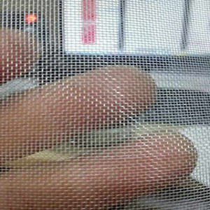 [Hot Item] Factory / Anti Mosquito /Anti Insect Net Protect Vegetable