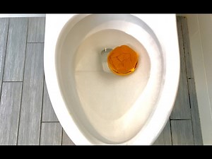 Will it Flush? - McDonald's Cheeseburger