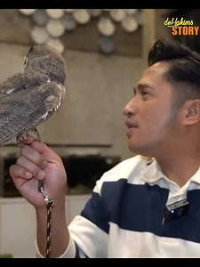 111K views · 2.7K reactions | Pangling banget sama ni burung hantu, ukuran kecil bikin gemes! Gak heran di Jepang banyak peminat #irfanhakim #dehakims #fypchallenge #viralreelschallenge #Alhamdulillah #untuksemuaorang #dobby #HarryPotter #blockbuster #owllovers #owls | Irfan Hakim | Facebook
