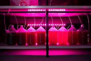 Trends and innovations