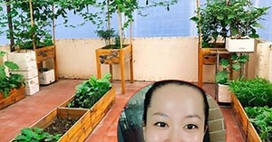 Vườn rau trồng trong thùng gỗ siêu năng suất của cô nàng 9X