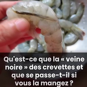 Qu'est-ce que c'est ? 🍤🍤 | Infos Swag