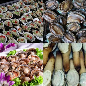 MGTECH Oyster Plate, Stainless Steel Oyster Pan Oyster Serving Tray, Oyster Shell Shaped Platter