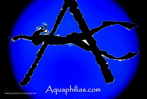 Aquaphilias- Carissa Dumond Underwater Chain Peril - Aquaphilias Official Profile | LoyalFans