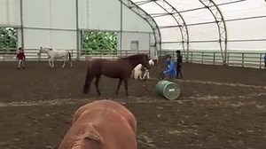 3.7K views · 162 reactions | Getting started this morning with Confidence Building at the Young Rider Clinic. Stay Inspired by Horses® with jonathanfield.net | Jonathan Field Horsemanship | Facebook