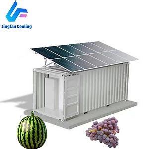 [Hot Item] Premium 20FT Solar-Powered Freezer for Cold Storage Solutions
