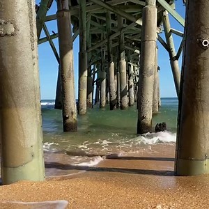 236K views · 321 reactions | Meanwhile, in Florida. ☀️ #JustSaying #VisitFlagler #LoveFL | Palm Coast and the Flagler Beaches | Facebook