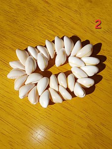 Cowrie Shell Bracelet - Etsy