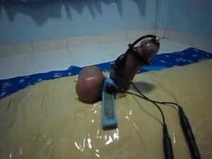 Mummified sub gay electro CBT